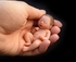El aborto como un “logro social”, por JFT