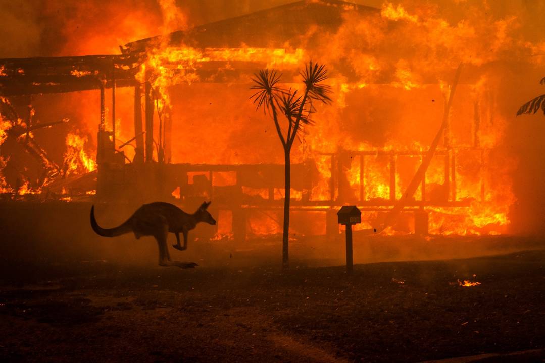 Australia, los incendios forestales, el clima y la secular Revolución, por el Col. José María Manrique